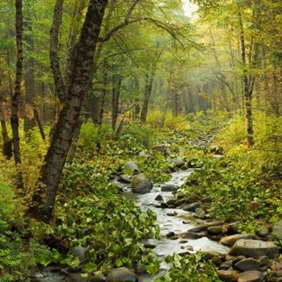 江南官方网站下载手机app下载