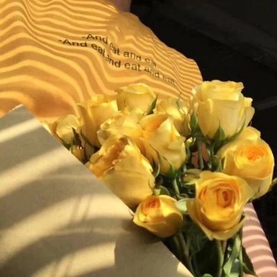 IM体育官方网站入口